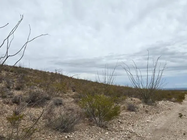 place photo 8