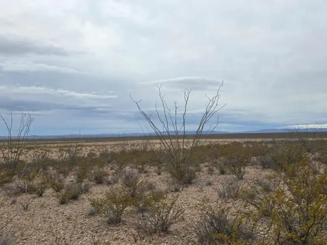 place photo 17