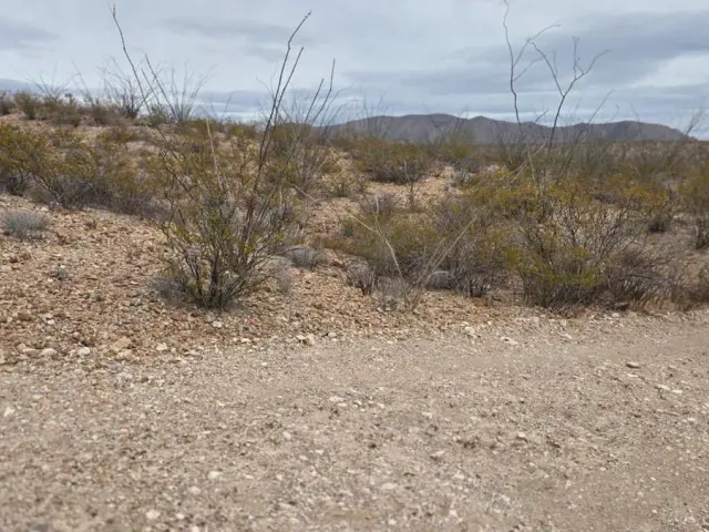 place photo 16