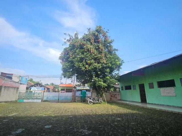 place photo 5