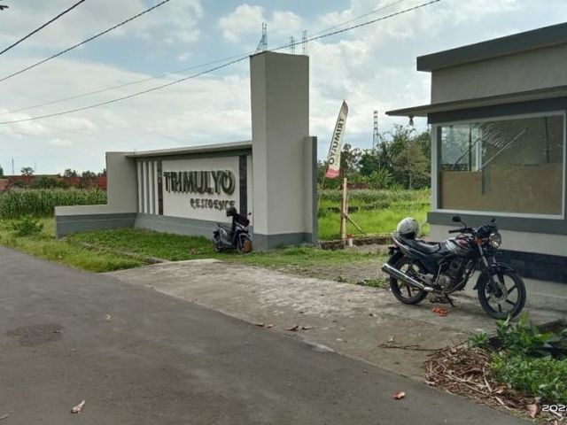 place photo 8