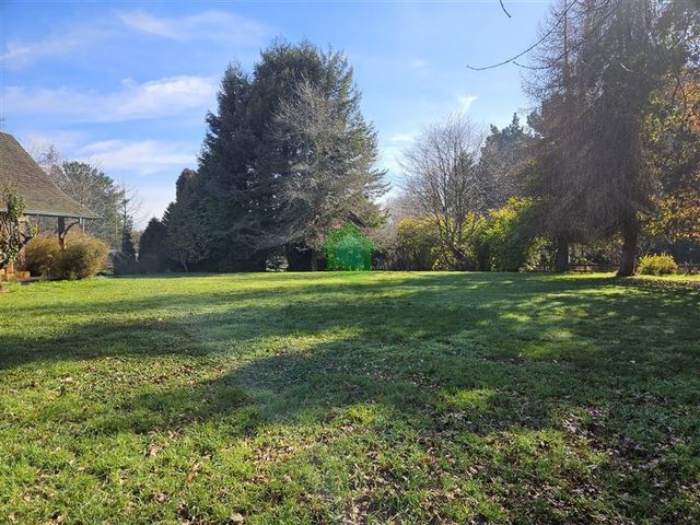 place photo 25