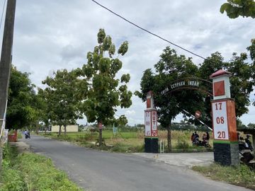 place photo 3