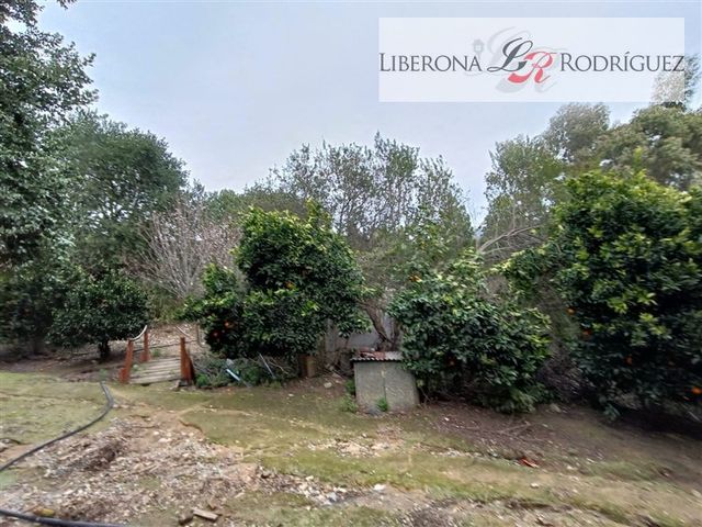 place photo 44