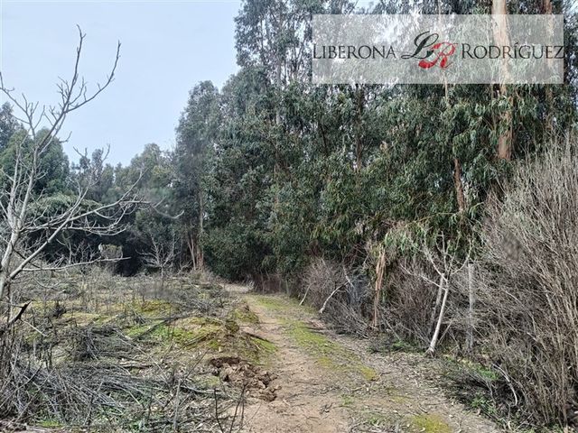 place photo 45