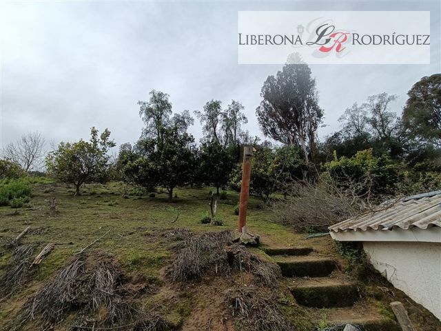 place photo 41