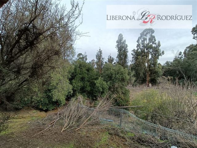 place photo 47
