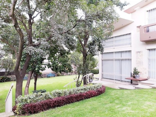 place photo 49