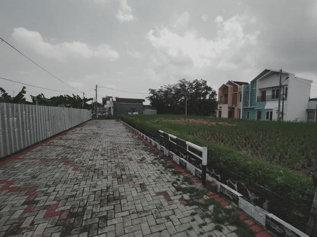 place photo 6