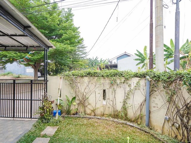 place photo 44