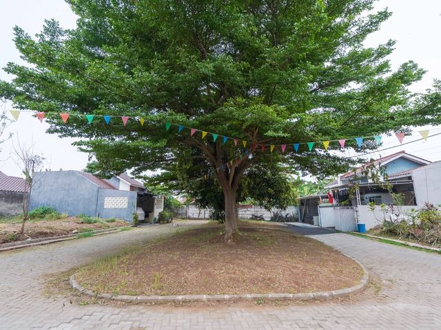 place photo 31