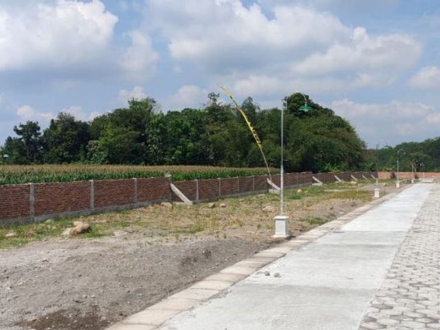 place photo 3