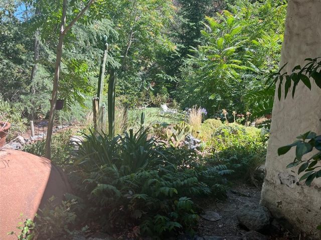 place photo 38
