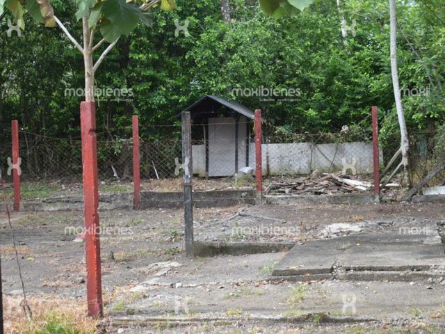 place photo 26
