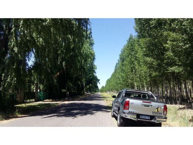 place photo 5