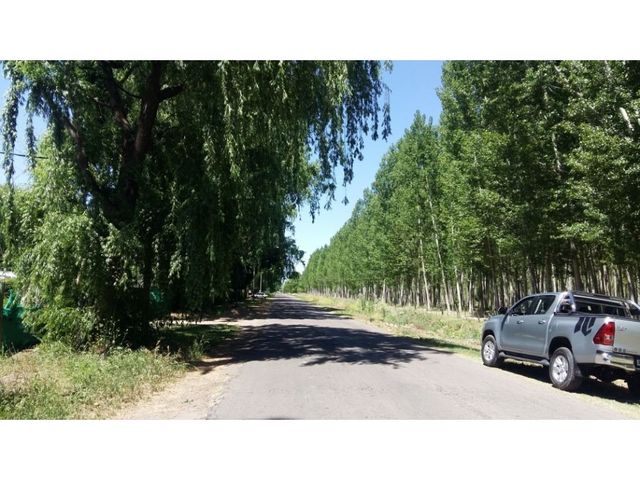 place photo 11
