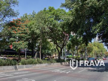 place photo 43