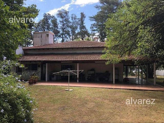 place photo 23