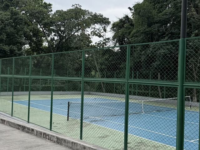 place photo 15