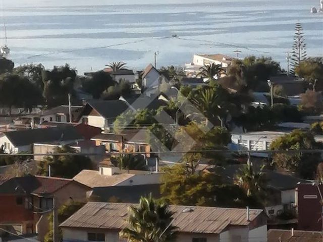 place photo 43