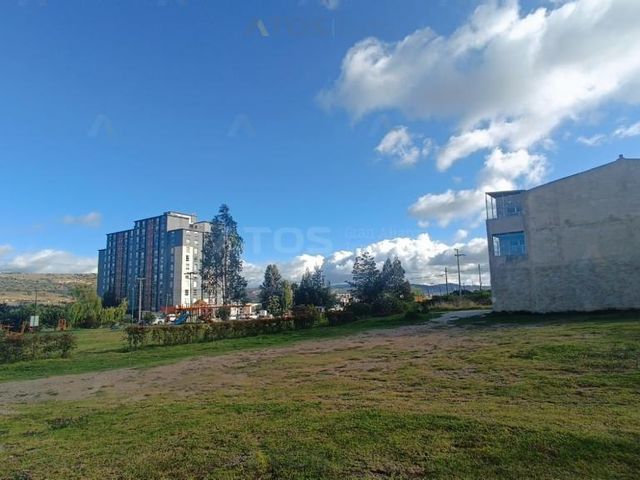 place photo 30
