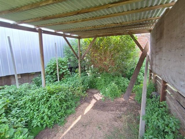 place photo 34