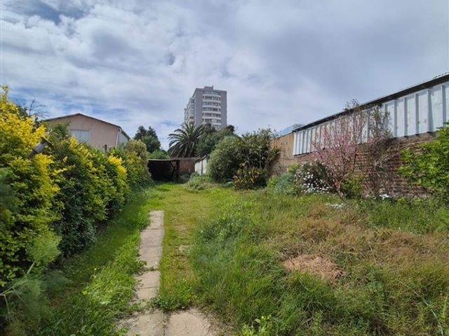 place photo 32