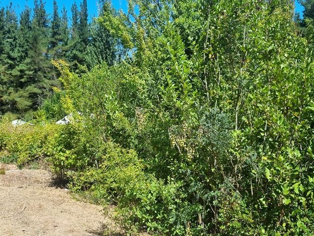 place photo 41