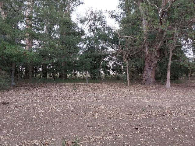 place photo 17