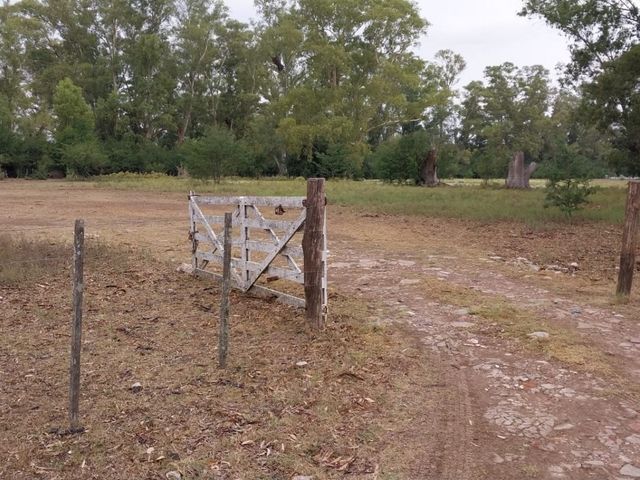 place photo 40