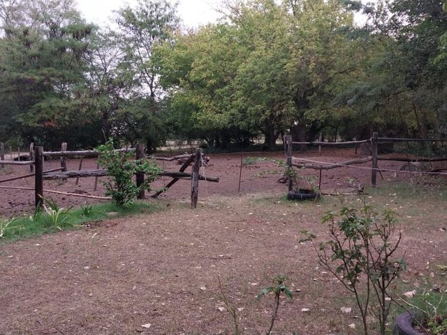 place photo 31