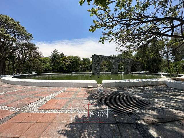 place photo 35
