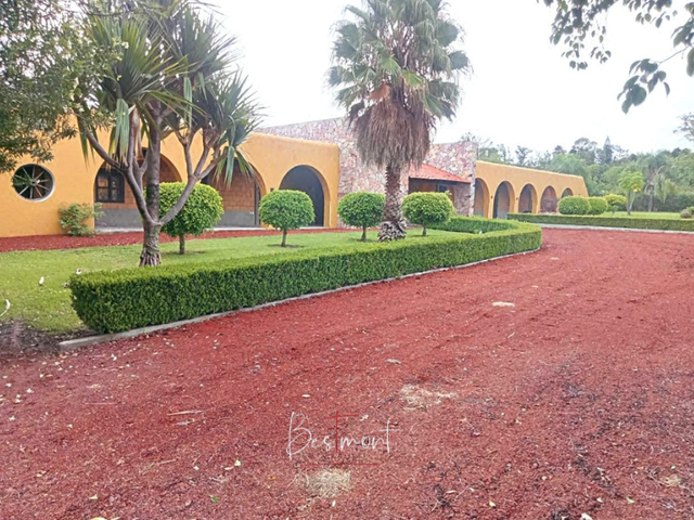 place photo 27