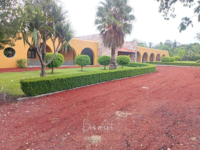 place photo 27