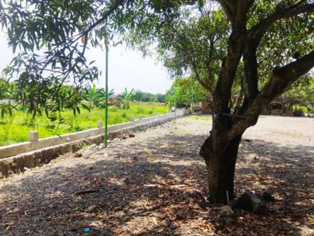 place photo 14