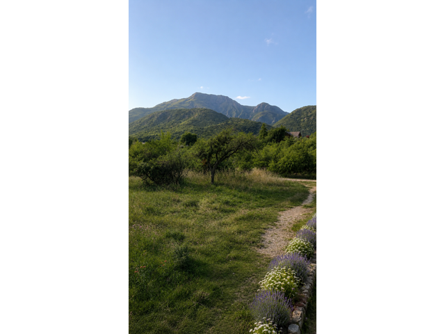 place photo 24