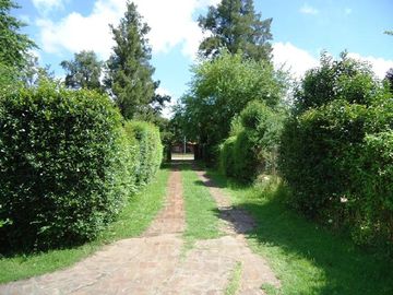place photo 17