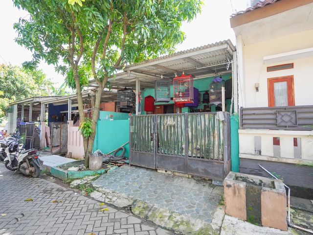 place photo 10