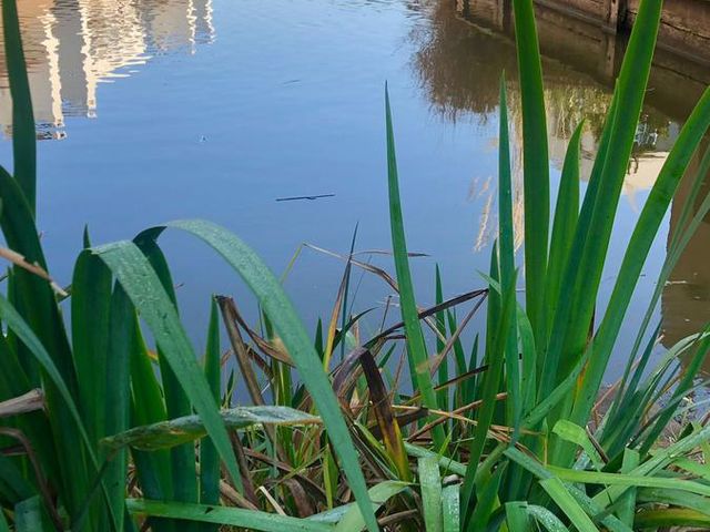 place photo 45