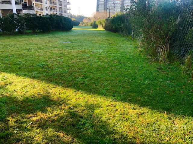 place photo 46