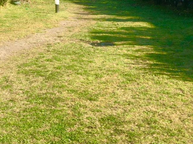 place photo 36