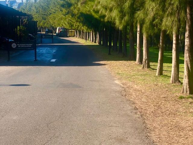place photo 48