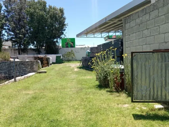 place photo 8