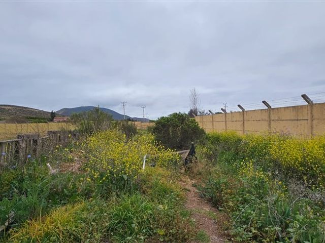 place photo 46