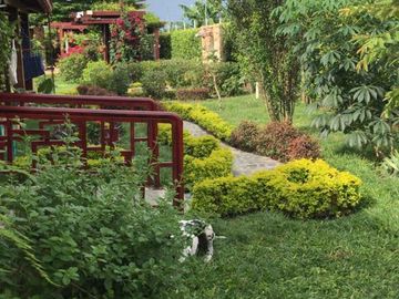 place photo 23