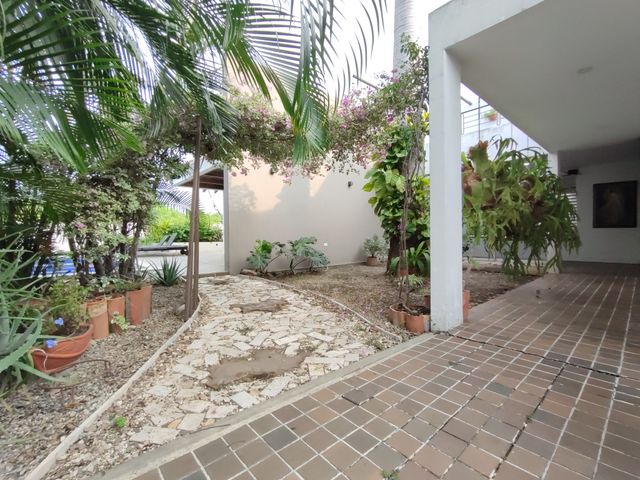place photo 28