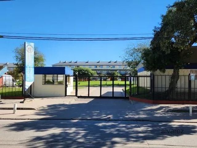 place photo 39