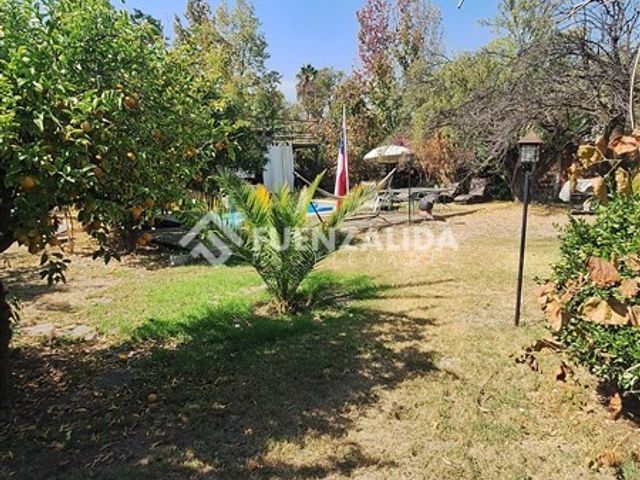 place photo 46