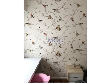 place photo 62