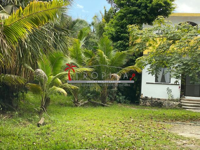 place photo 16